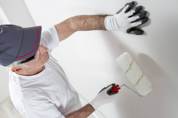 Reliable Port Lavaca, TX Dry wall and painting Solutions